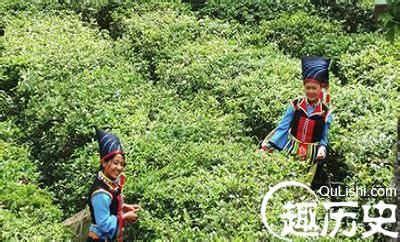 布朗族历史 &ldquo;沧江怒水&rdquo;之间的布朗族