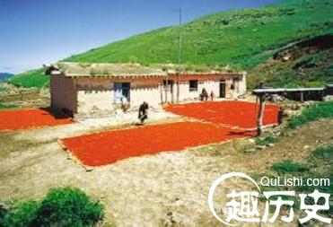 塔塔尔族住房有几种？分别是什么样